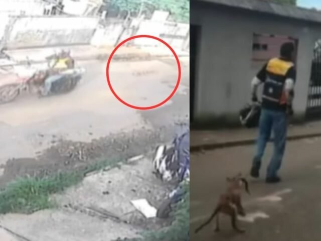ABSURDO – Homem conhecido como ‘Bagdá’ amarra cachorro e arrasta o animal pela rua de moto no Amazonas
