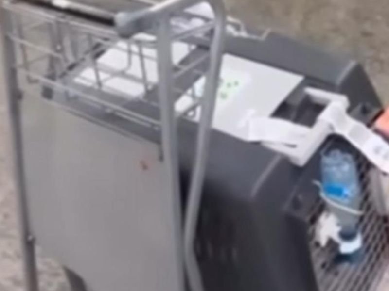 ABSURDO: Passageira recebe cachorra ensanguentada após voo do Amazonas, veja o vídeo