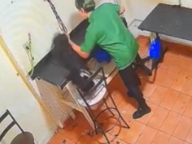 Cadela m0rre após ser agred1da por funcionária de pet shop