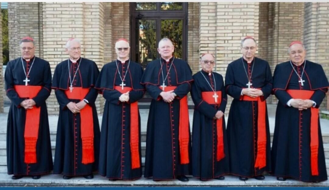 Cardeais Brasileiros no Conclave: Conheça os Principais Membros na Escolha do Novo Papa