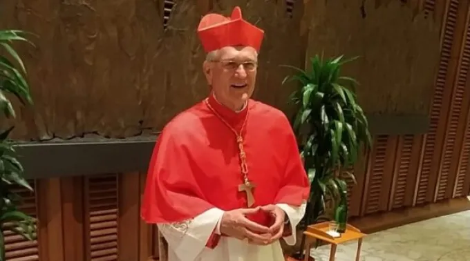 Dom Leonardo Steiner será uma voz do Amazonas na escolha do novo Papa