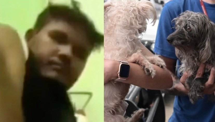 Homem que gravou vídeo abus4ndo cadela é solto após prestar depoimento em Manaus