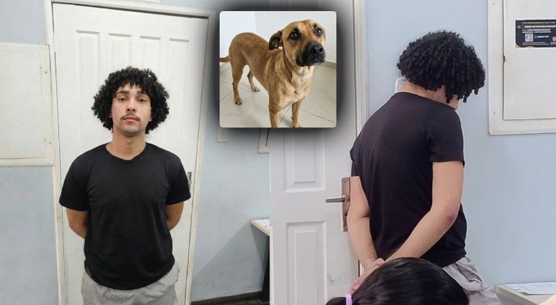 Jovem que abusou de cadela é preso em Manaus; veja vídeo